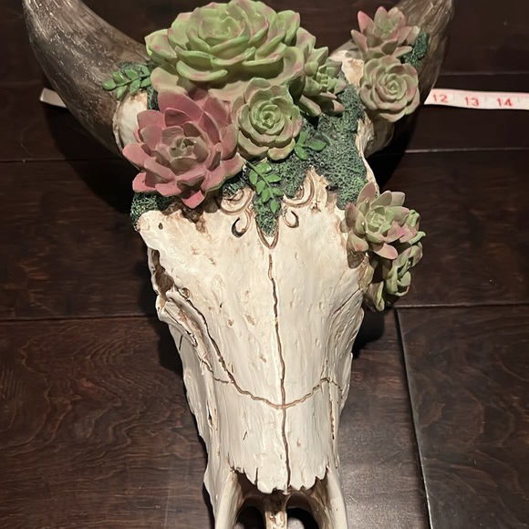 Resin skull and succulents 18” EUC - Picture 8 of 9